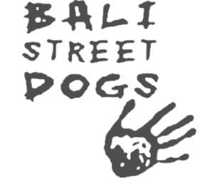 Bali Street Dog